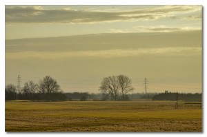 _OJJ2655 a