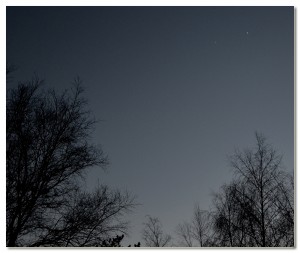 _OJJ2881 a