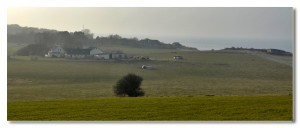 _OJJ2954 a