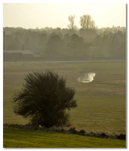 _OJJ2960 a