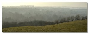 _OJJ3029 a
