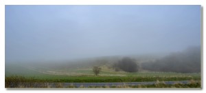 _OJJ3776 a