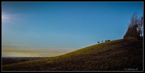 20160323_171150-4 a