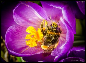 _OJJ1560-4 a